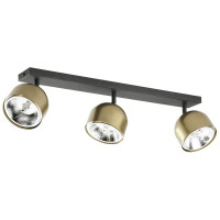 Стельовий спот TK Lighting 3426 ALTEA