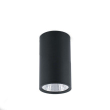 Потолочный светильник Faro REL-G 64201