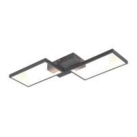 Настенно-потолочный LED светильник Trio 623210242 Cafu с 3 уровнями диммирования