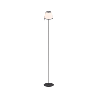 Акумуляторний вуличний LED торшер Trio Reality R42096142 Domingo IP44 з USB-портом