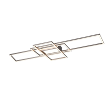 Настенно-потолочный светильник с диммером и пультом Trio 620010407 Irvine