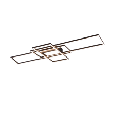 Настенно-потолочный светильник с диммером и пультом Trio 620010442 Irvine