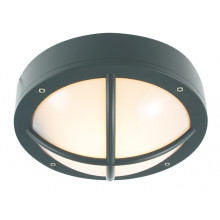 Настенно-потолочный светильник Norlys Rondane 537GR